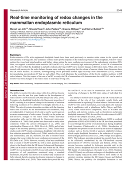 Real-Time Monitoring of Redox Changes in the Mammalian Endoplasmic Reticulum