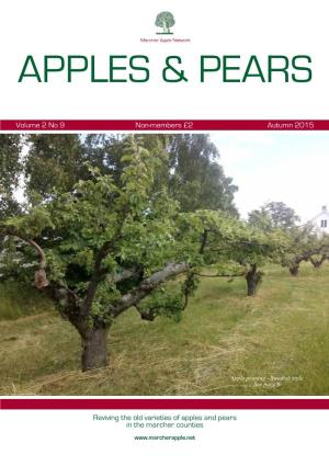 Download a Copy of Issue 9 of Apples & Pears, MAN's 2015 Newsletter