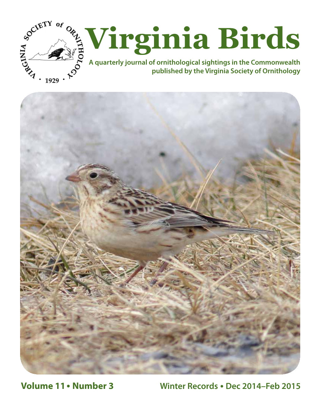 Virginia Birds a Quarterly Journal of Ornithological Sightings in the Commonwealth Published by the Virginia Society of Ornithology