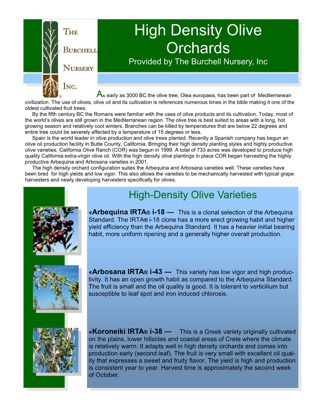 High Density Olives 2 Page 12-23-09.Pub