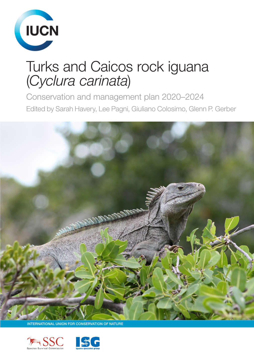 Turks and Caicos Rock Iguana (Cyclura Carinata) Conservation and Management Plan 2020–2024 Edited by Sarah Havery, Lee Pagni, Giuliano Colosimo, Glenn P