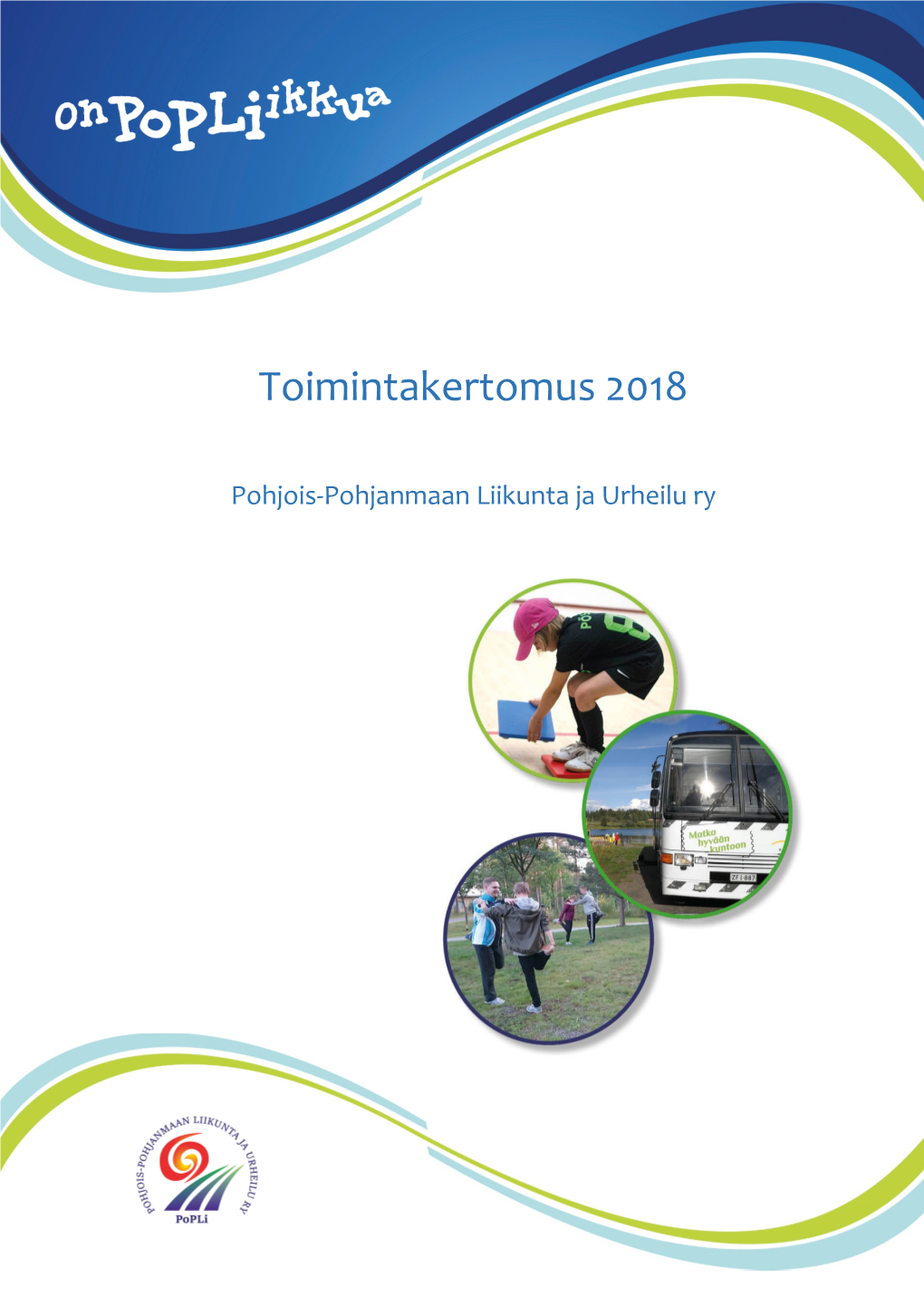 Toimintakertomus 2018.Pdf