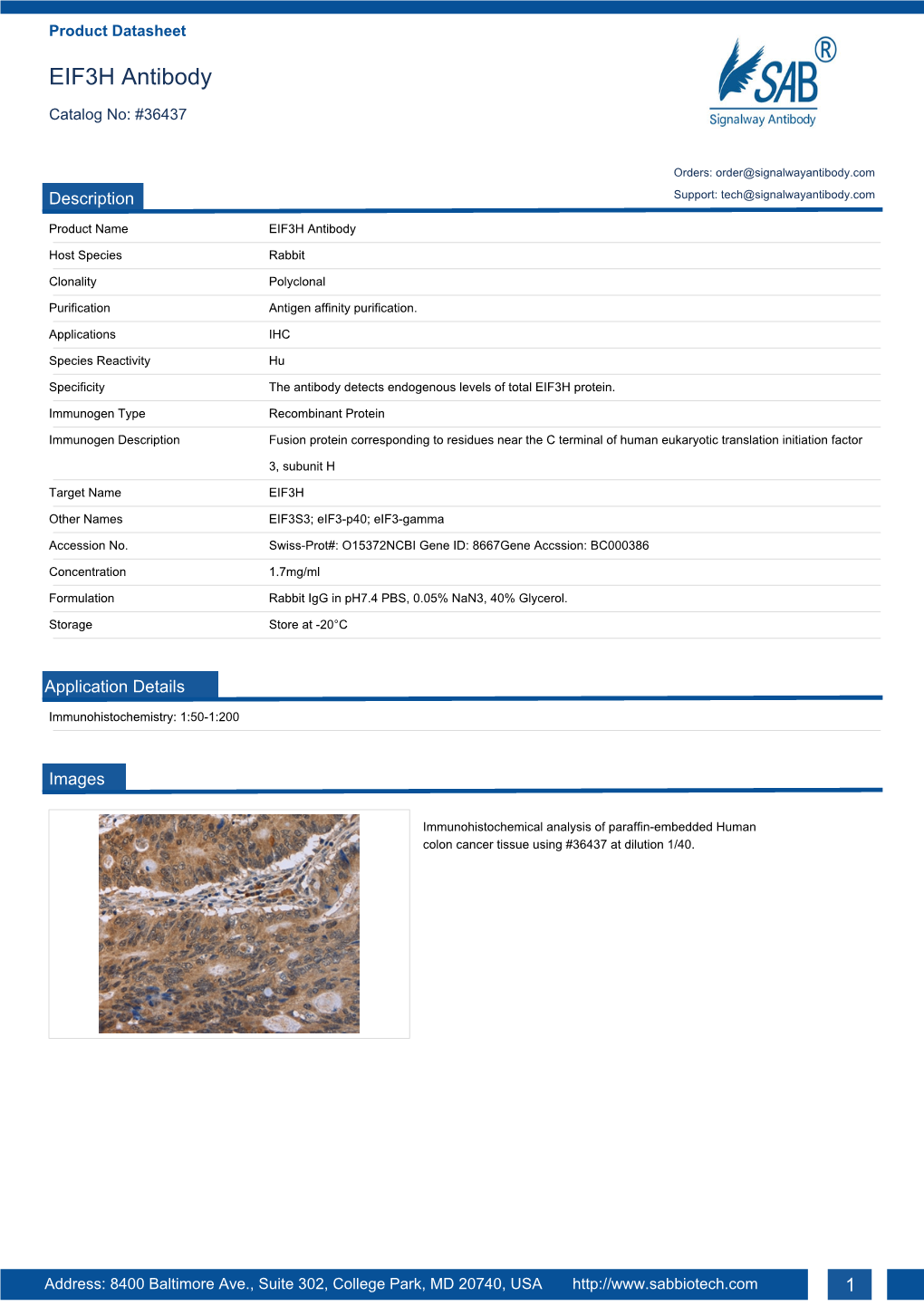 EIF3H Antibody