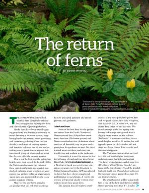 The Return of Ferns by RICHIE STEFFEN