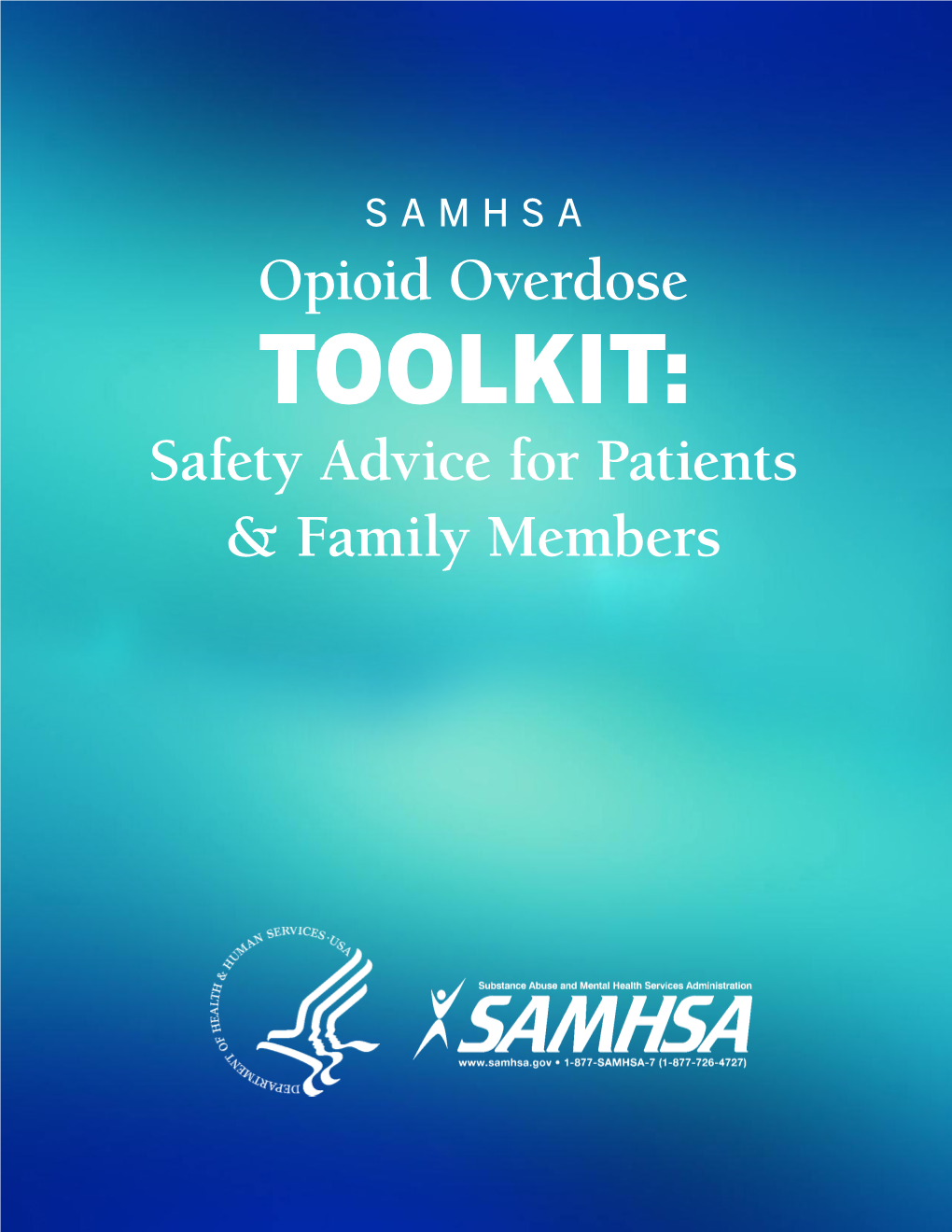 TOOLKIT: Safety Advice for Patients & Family Members TABLE of CONTENTS