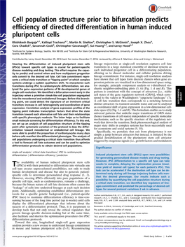 Cell Population Structure Prior to Bifurcation Predicts Efficiency of Directed Differentiation in Human Induced Pluripotent Cells