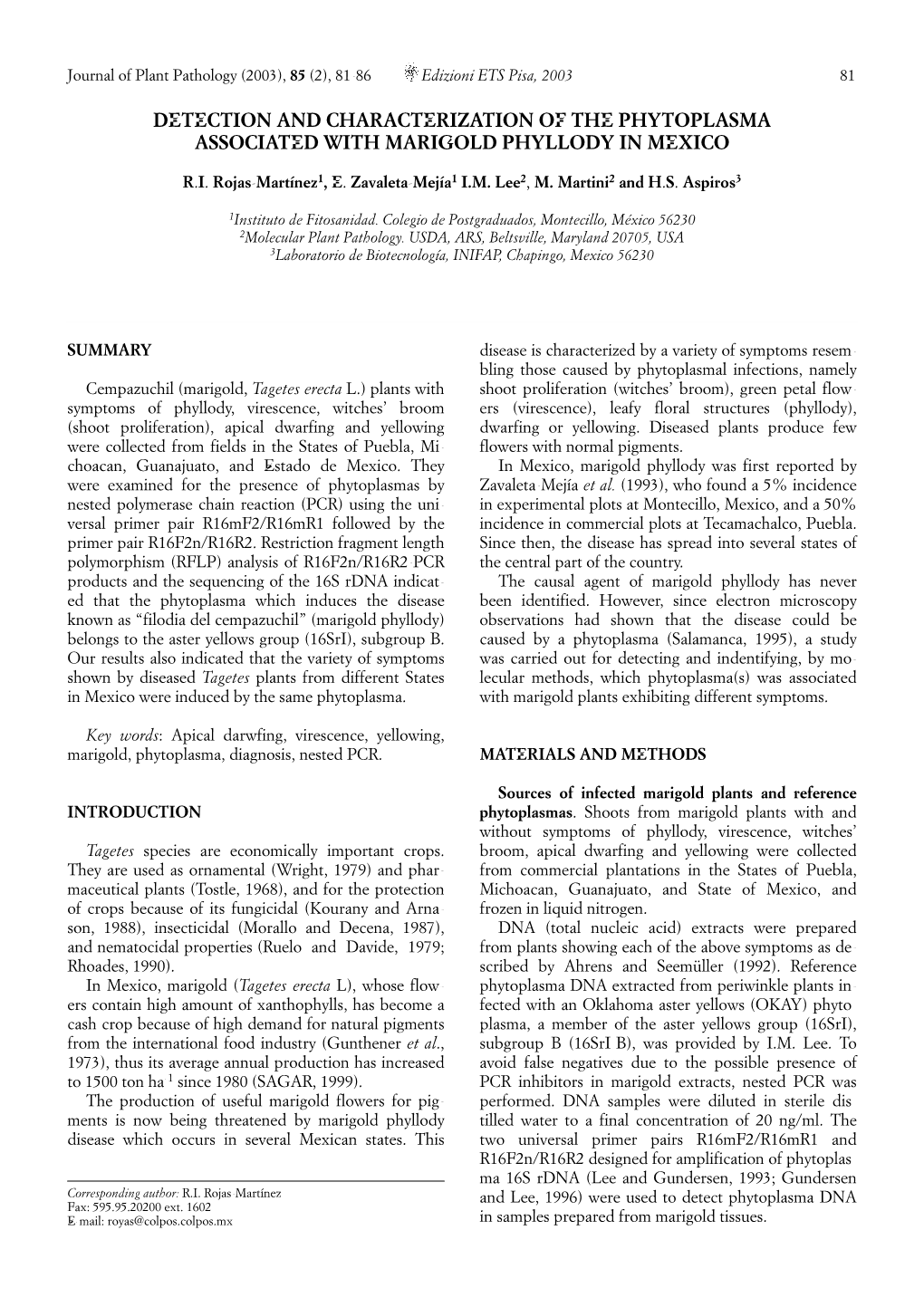 Detection and Characterization of the Phytoplasma Associated with Marigold Phyllody in Mexico