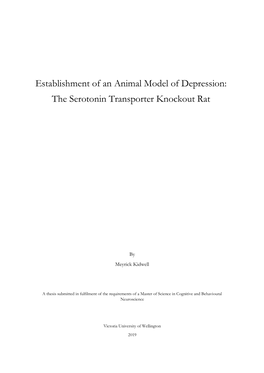 The Serotonin Transporter Knockout Rat