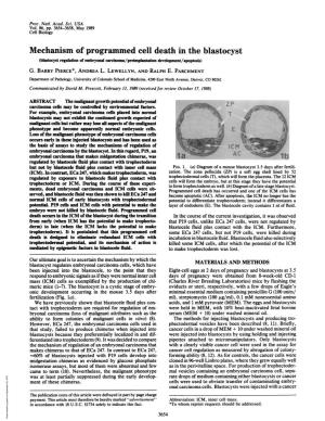 Mechanism of Programmed Cell Death in the Blastocyst (Blastocyst Regulation of Embryonal Carcinoma/Preimplantation Development/Apoptosis) G
