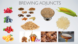 Brewing Adjuncts Topics
