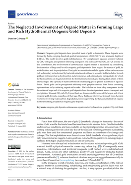 The Neglected Involvement of Organic Matter in Forming Large and Rich Hydrothermal Orogenic Gold Deposits