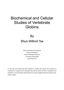Biochemical and Cellular Studies of Vertebrate Globins