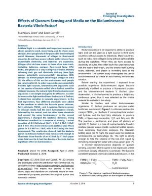 Effects of Quorum Sensing and Media on the Bioluminescent Bacteria Vibrio Fischeri