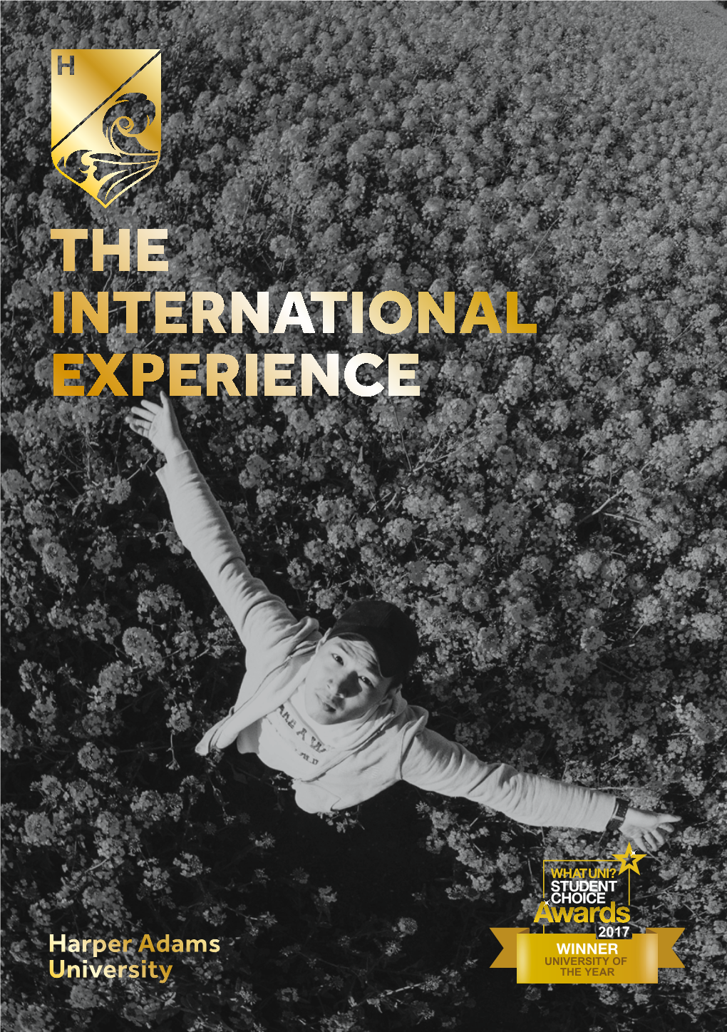 The International Experience