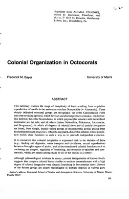 Colonial Organization in Octocorals
