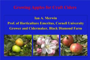 Growing Apples for Craft Cider, Merwin