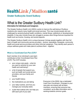 What Is the Greater Sudbury Health Link?