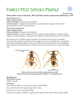 Forest Pest Species Profile