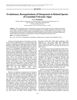 Evolutionary Reorganizations of Ontogenesis in Related Species of Coenobial Volvocine Algae A