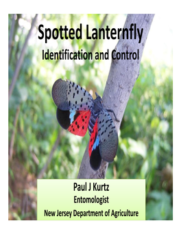Spotted Lanternfly Identification and Control