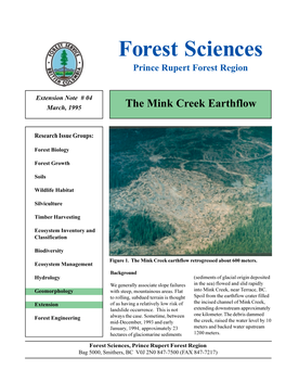 The Mink Creek Earthflow March, 1995