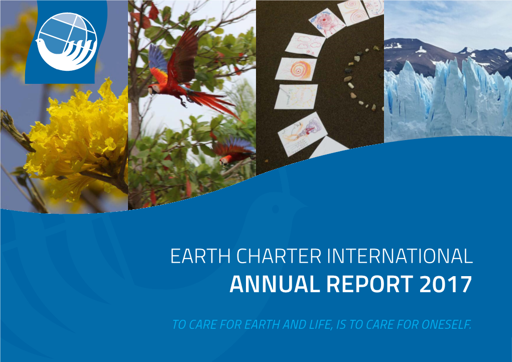 Annual Report 2017