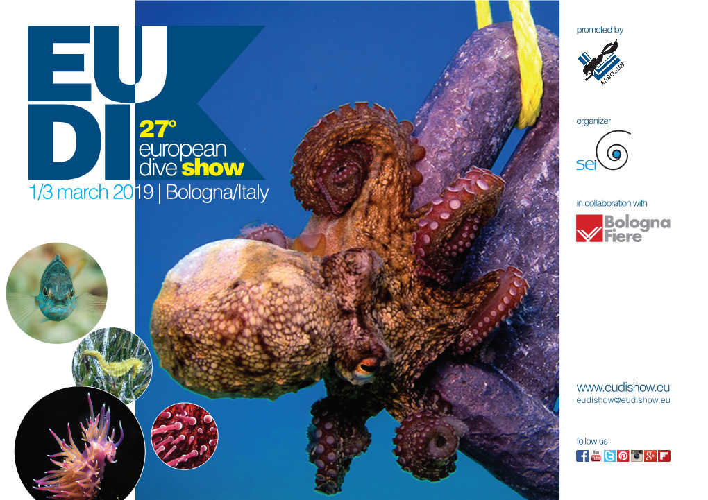 DI27° European Dive Show