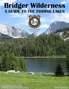 Bridger Wilderness Fishing Guide