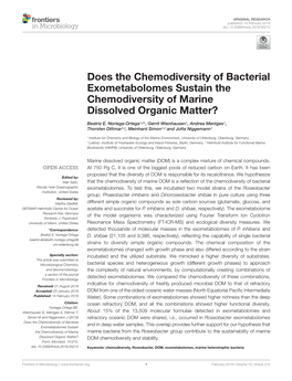 Does the Chemodiversity of Bacterial Exometabolomes Sustain the Chemodiversity of Marine Dissolved Organic Matter?