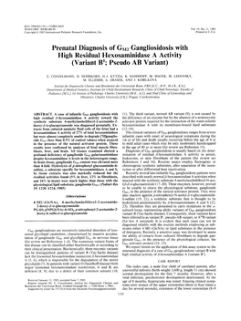 Prenatal Diagnosis of GM2 Gangliosidosis with High