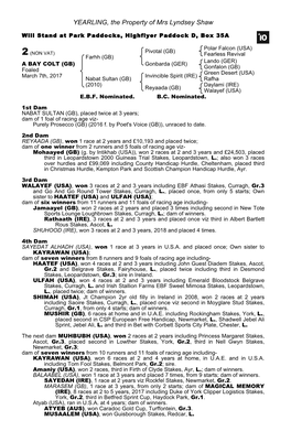 YEARLING, the Property of Mrs Lyndsey Shaw