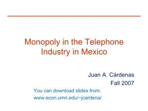 Monopoly in the Telephone Industry in Mexico