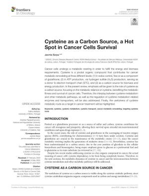 Cysteine As a Carbon Source, a Hot Spot in Cancer Cells Survival