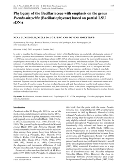 Phylogeny of the Bacillariaceae with Emphasis on the Genus Pseudo-Nitzschia (Bacillariophyceae) Based on Partial LSU Rdna