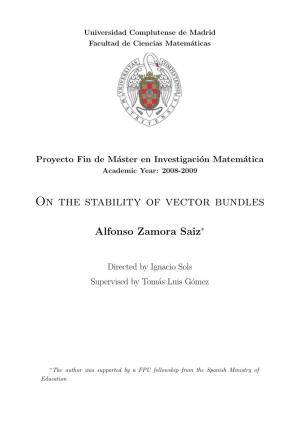 On the Stability of Vector Bundles