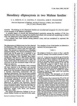 Hereditary Elliptocytosis in Two Maltese Families