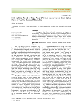 First Sighting Record of Grey Plover (Pluvialis Squatarola) Or Black Bellied Plover in Vidarbha Region of Maharashtra