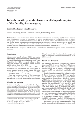 Interchromatin Granule Clusters in Vitellogenic Oocytes of the Fleshfly, Sarcophaga Sp