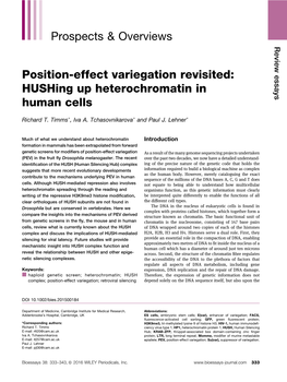 Position‐Effect Variegation Revisited