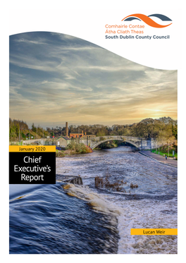 Chief Executive's Report