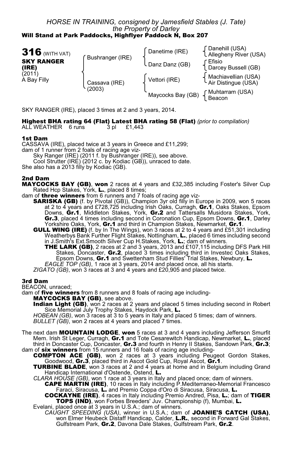 HORSE in TRAINING, Consigned by Jamesfield Stables (J. Tate) the Property of Darley Will Stand at Park Paddocks, Highflyer Paddock N, Box 207