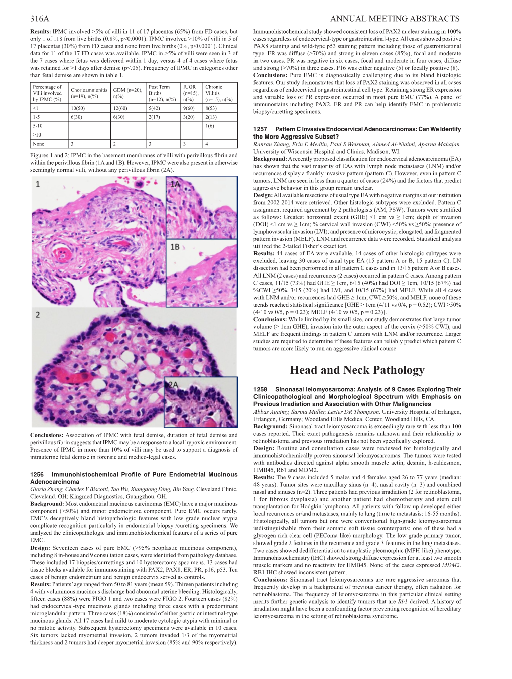 Head and Neck Pathology