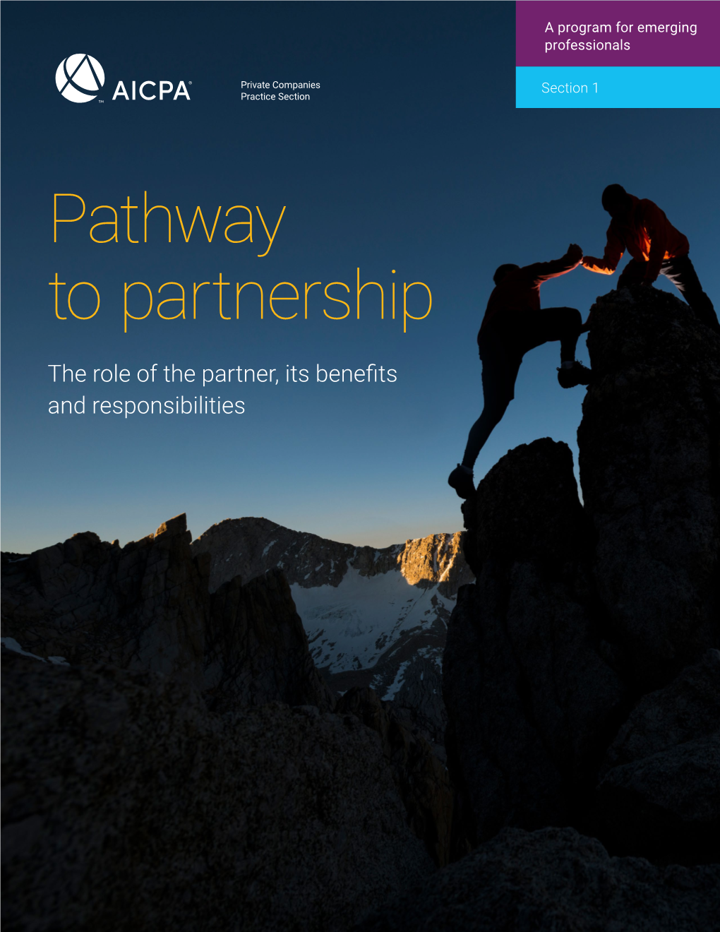 Role of the Partner and Responsibilities