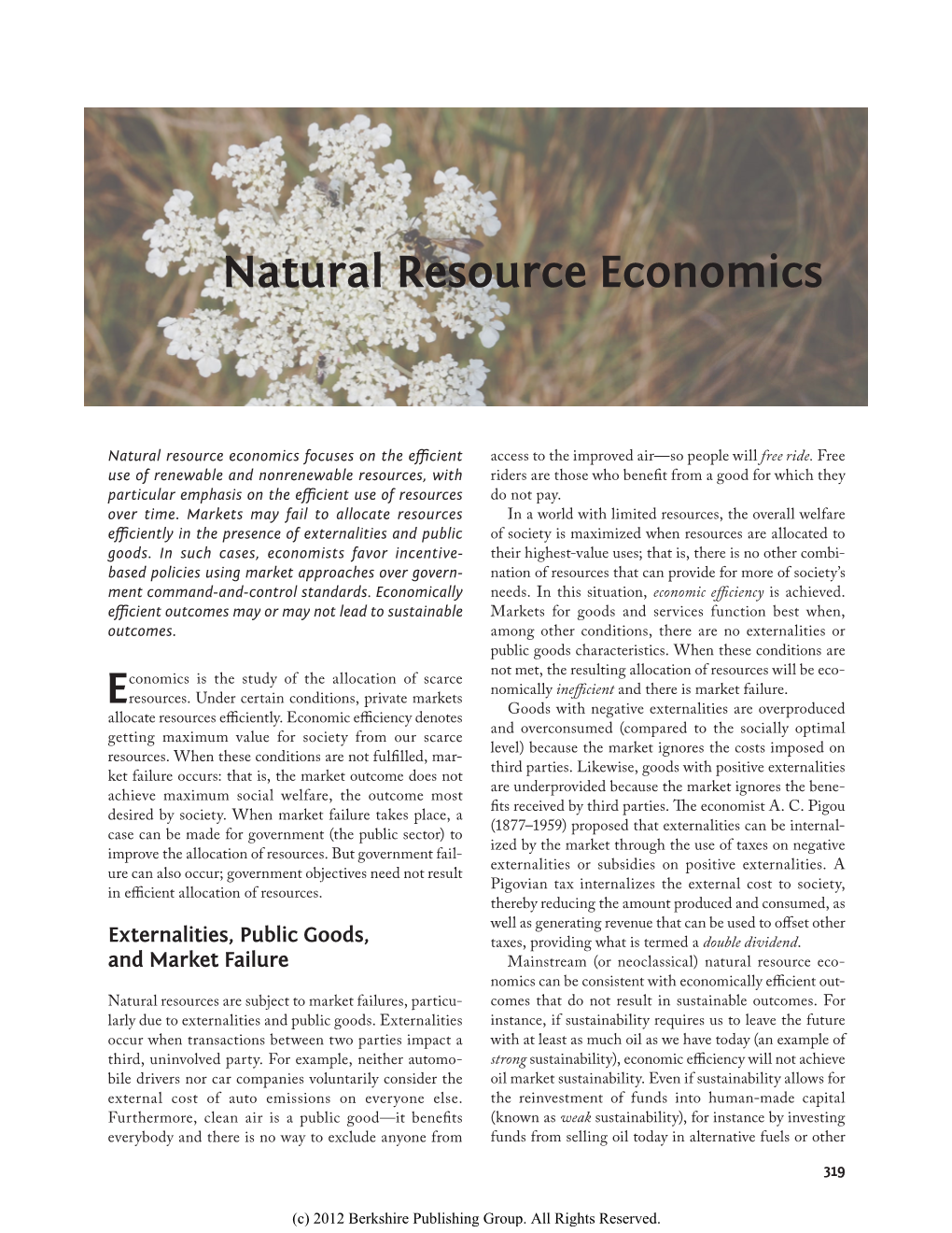 Natural Resource Economics