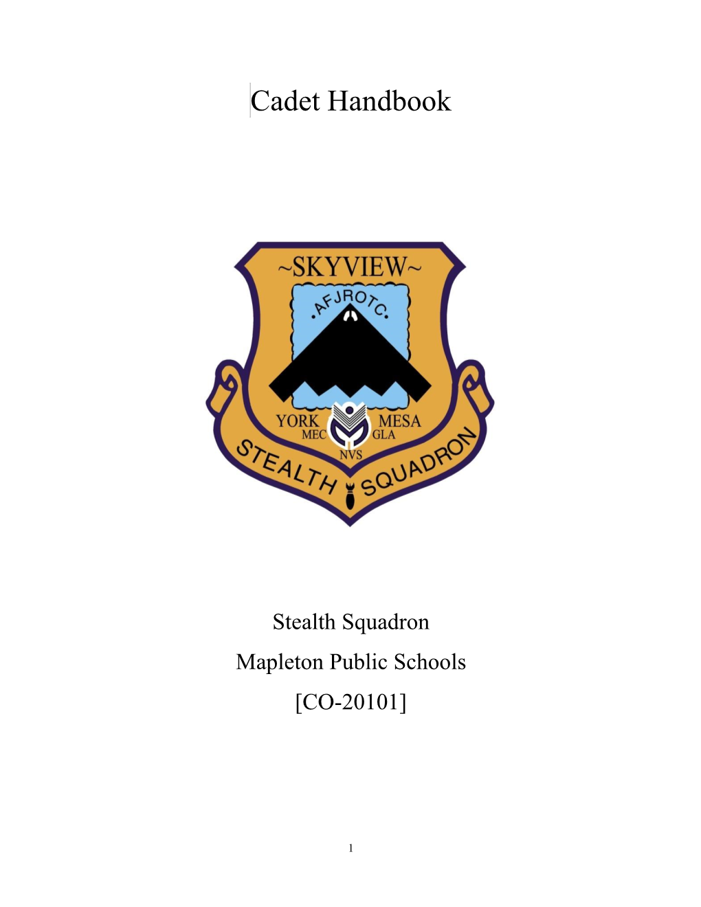 To Take a Look at the Air Force JROTC Cadet Handbook