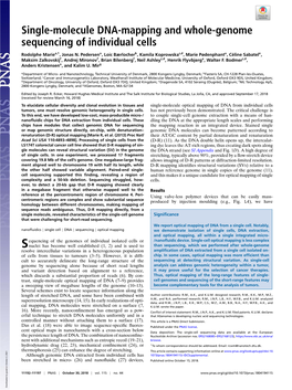 Single-Molecule DNA-Mapping and Whole-Genome Sequencing of Individual Cells