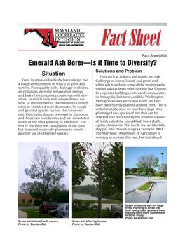 Emerald Ash Borer—Is It Time to Diversify?