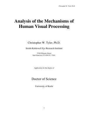 Analysis of the Mechanisms of Human Visual Processing