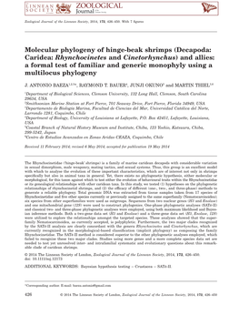 Molecular Phylogeny of Hingebeak Shrimps