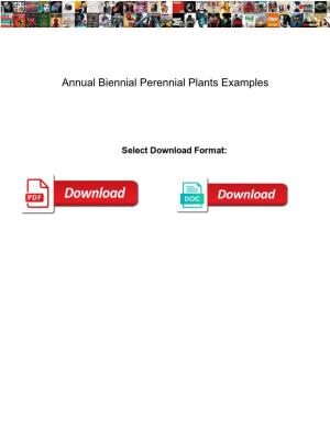 Annual Biennial Perennial Plants Examples